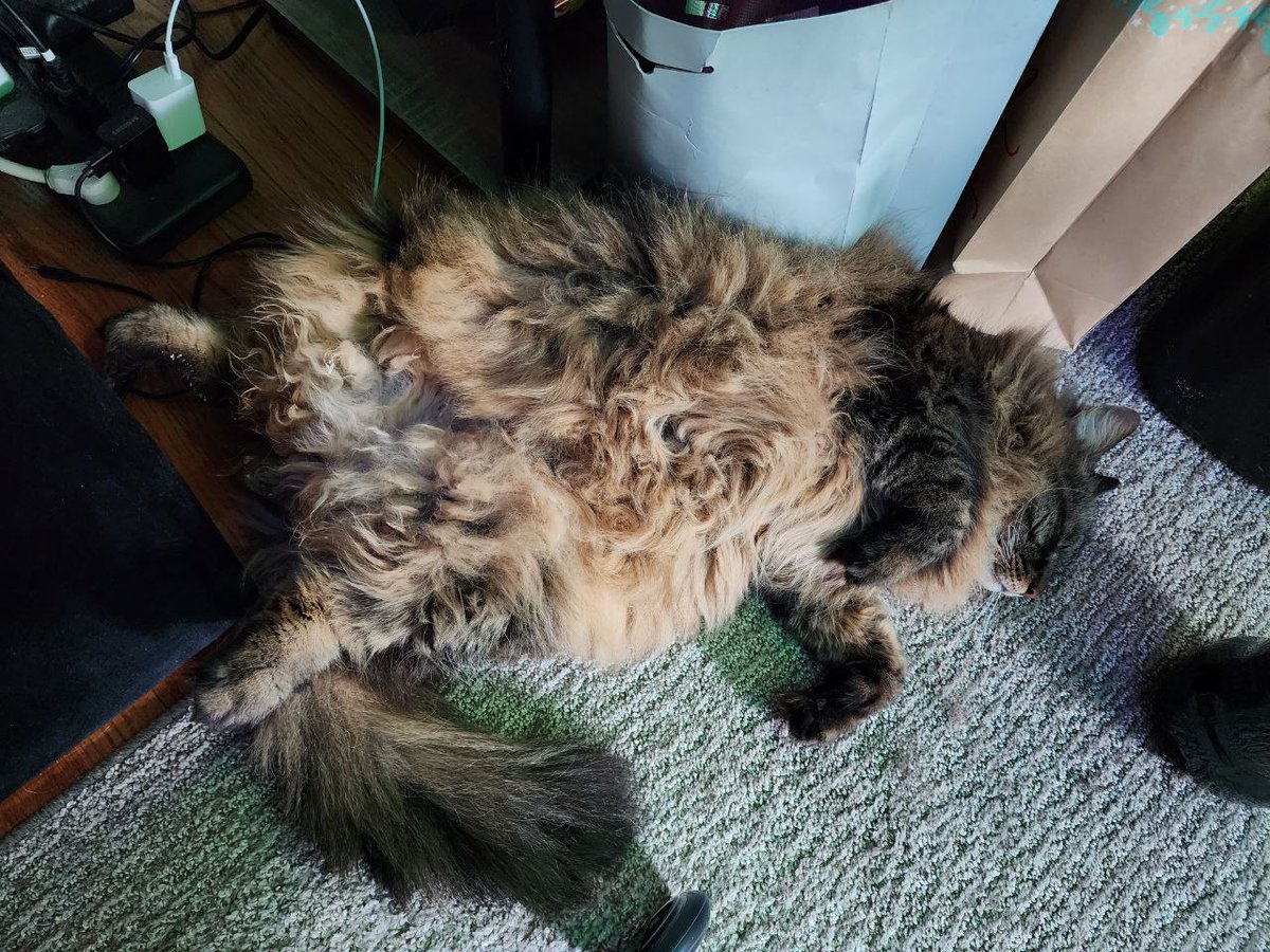 why must thou layeth at mine foot pawbs as I waste the afternoon on my day off?