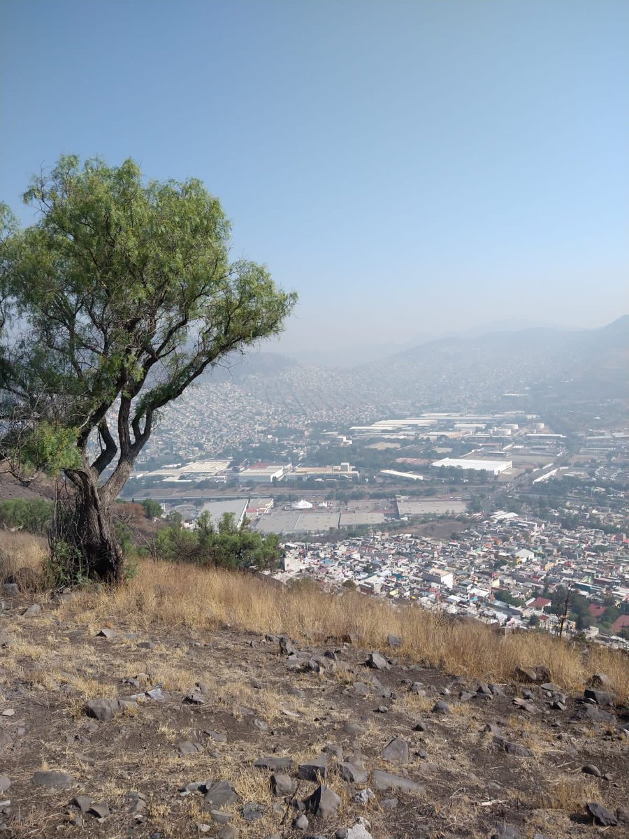 Mañana de cerro
Cansancio del que gusta!!!
Saludos a todos los que sudan la camiseta 
@EntreRunners 
#entrerunners 
#correresvivir 
#correresvida
#correporti
#correresamor 
#roudtoMMCDMX2023