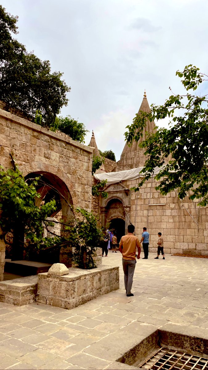 Laleşa Nûranî ❤️