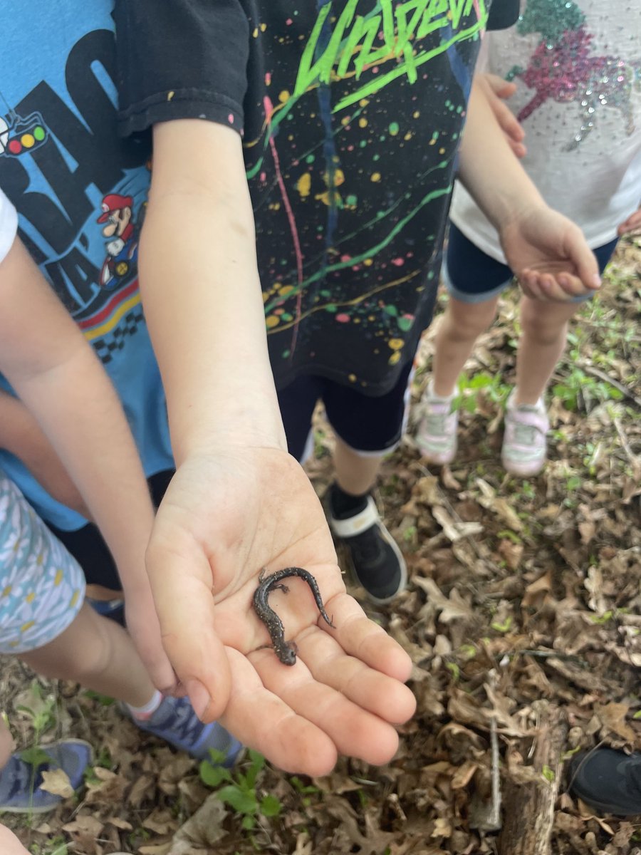 Brenna Cunningham Turner tweet media