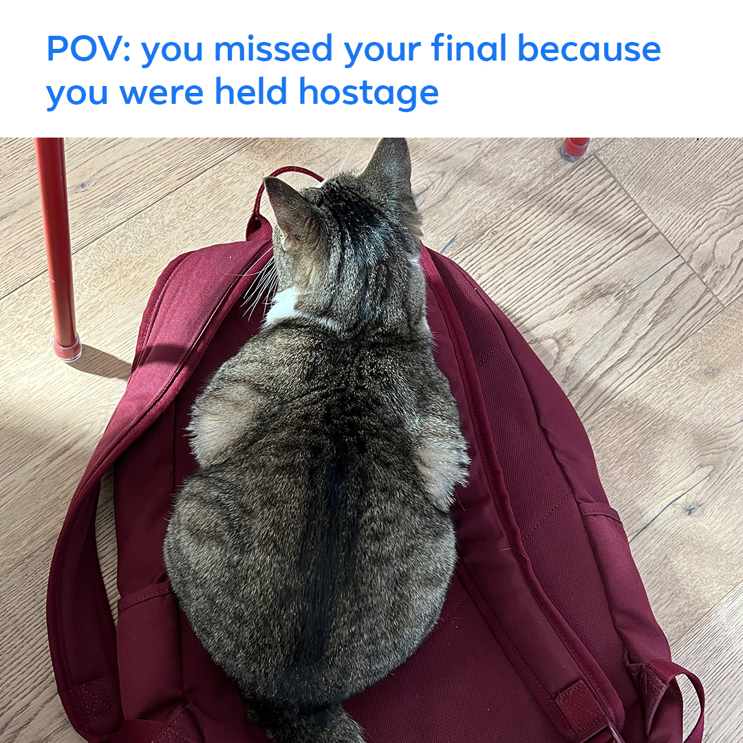 2 pic. College pro-tip: avoid roommates majoring in Distraction and Procrastination. Congrats to surviving finals week – despite the efforts of these cattos from the ‘cats doing cat stuff’ Facebook Group. 😺 https://t.co/DiGlBy3RIT