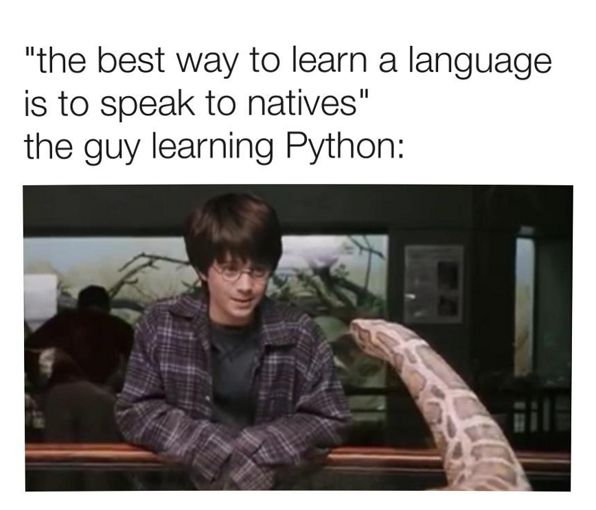 Black Rabbit Technologies tweet media