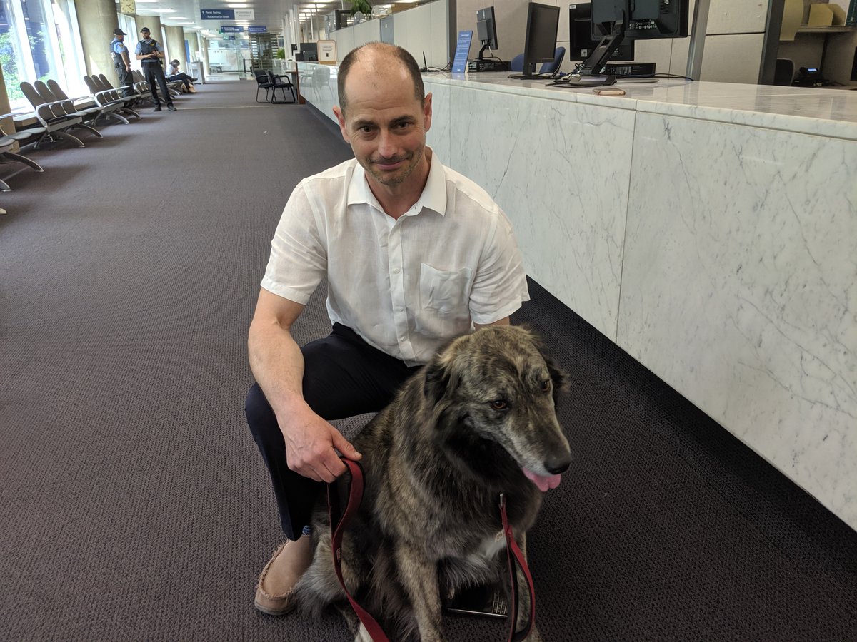 Momin Qureshi tweet media