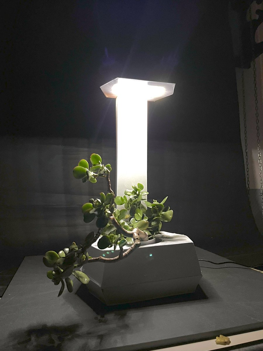 mpeakhe's tweet photo. LED PLANTER https://t.co/ZWEwVObgFu