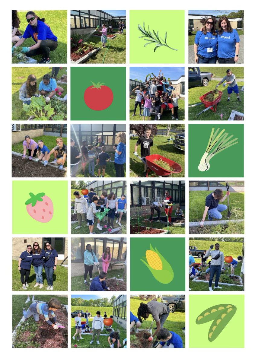 WinstonPrepLI's tweet photo. This past Friday, students participated in Gardening Day. During their Science classes, Mr. Oncale showed students how to get the garden ready and then they planted tomatoes, peppers, snap peas, corn, basil, rosemary, squash, cucumbers, onions, &amp; strawberries! #winstonprep #wpsli https://t.co/SzDucpczcs