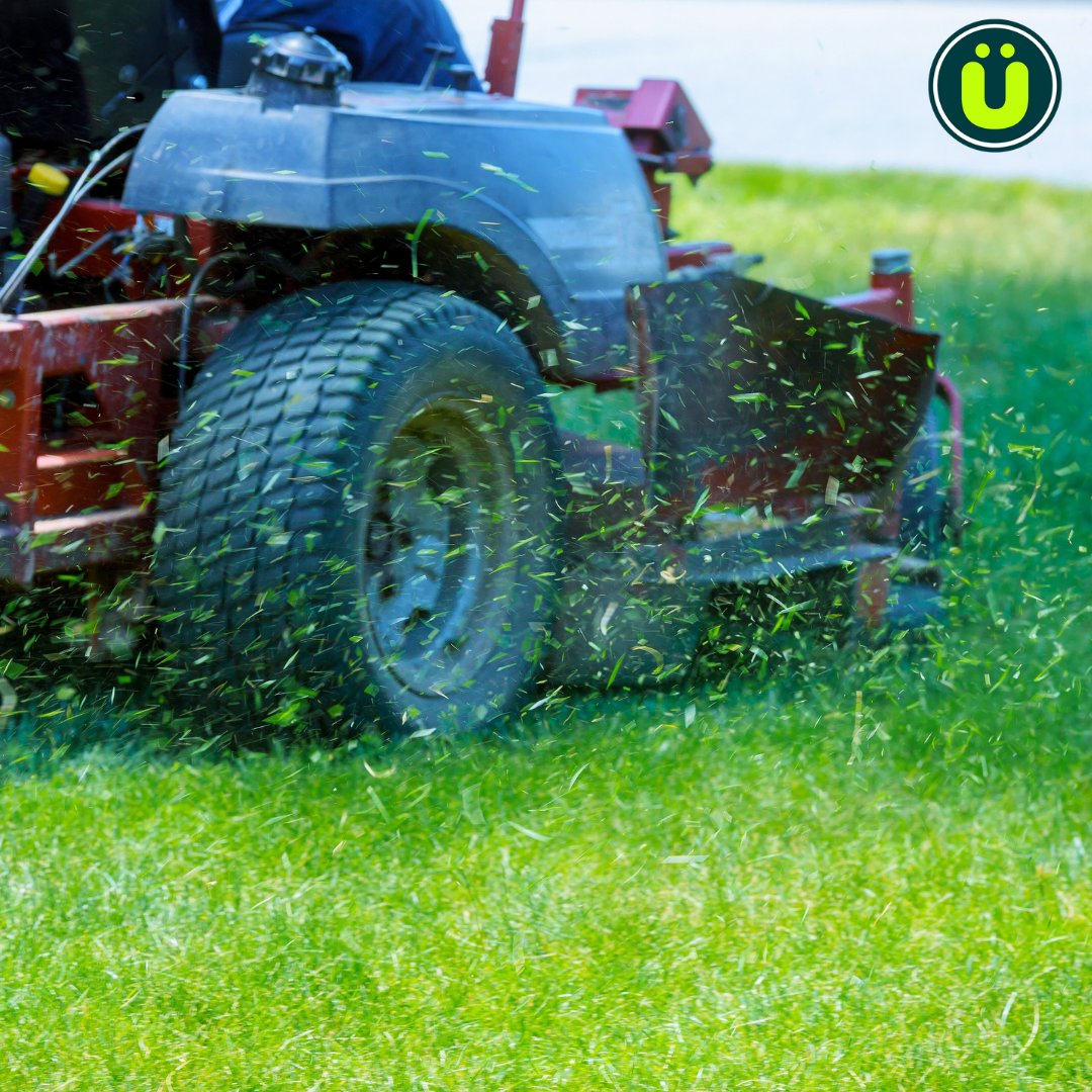 UberFacts on Twitter "The smell of freshly cut grass is actually a