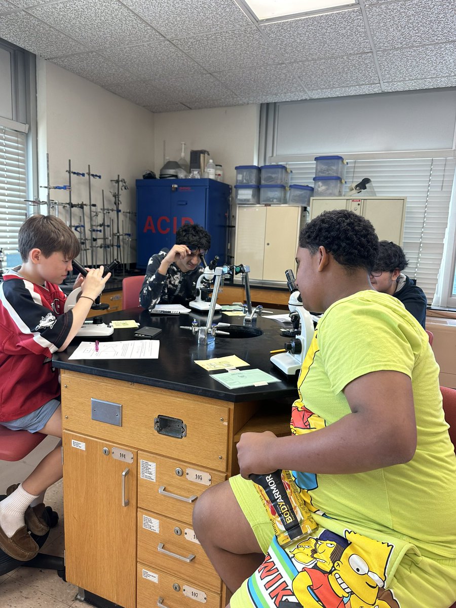 Ms. Schaefer tweet media