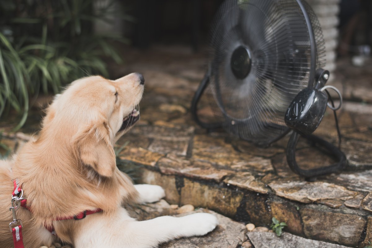 Summer’s right around the corner and there’s no reason to live in a hot house. Our HEELP program offers a fixed-rate 1% loan for specific energy efficiency home repairs which can include a new HVAC system or replacing old, drafty windows. Learn more: phfa.org/programs/heelp…