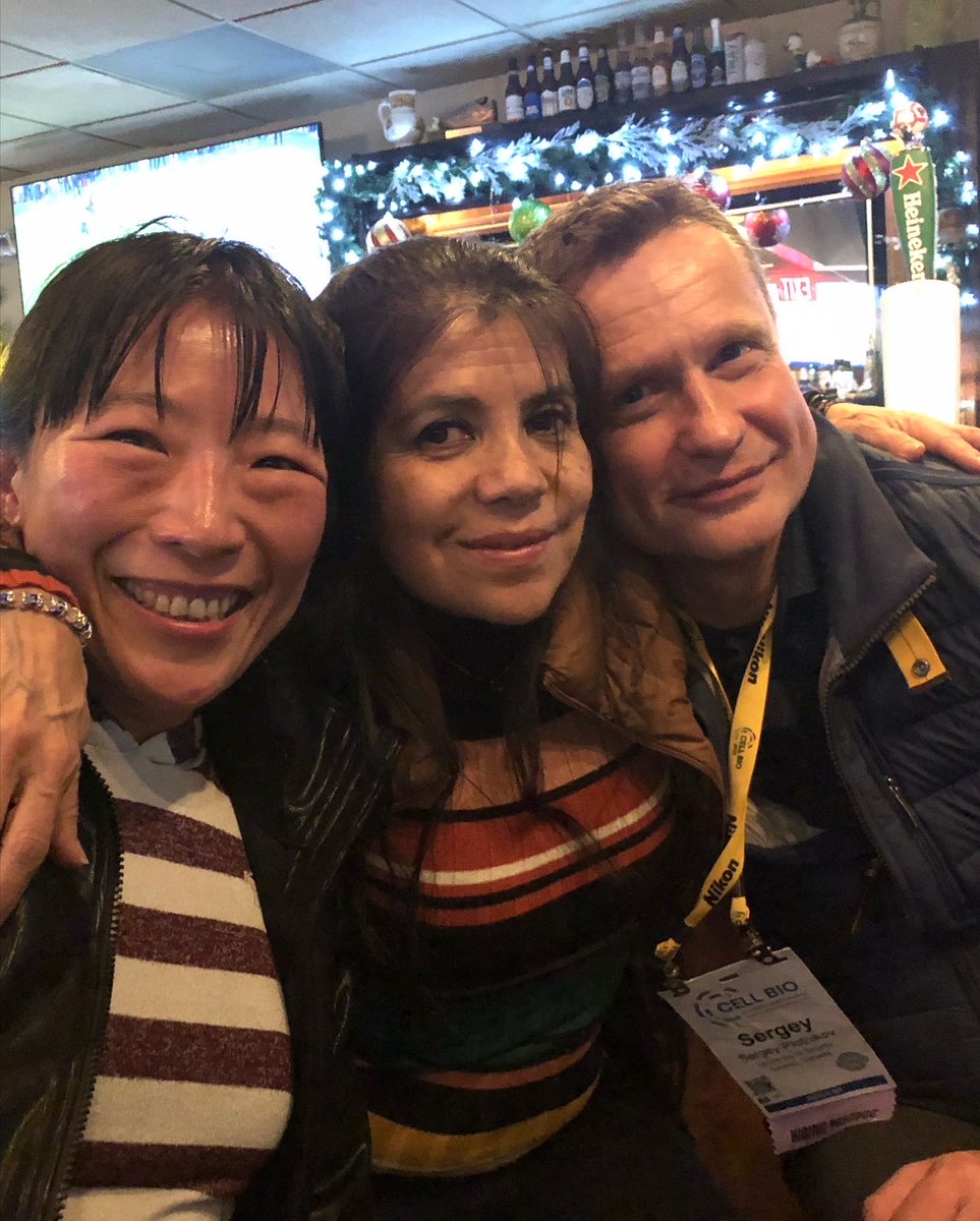 Sergey Plotnikov tweet media