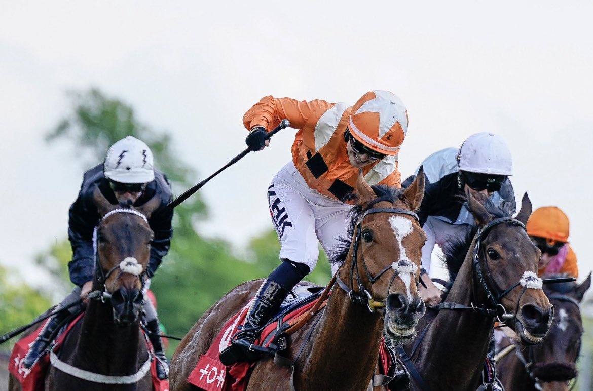 OsborneSaffie's tweet image. Thank you Metier 🚀 
#ChesterCup

@HarryFryRacing1