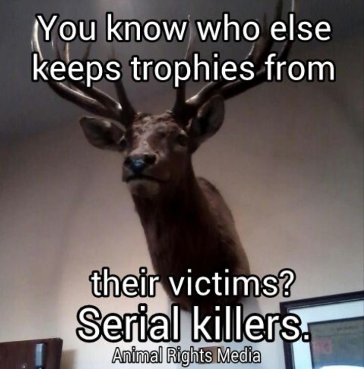 anna_grefberg's tweet image. 