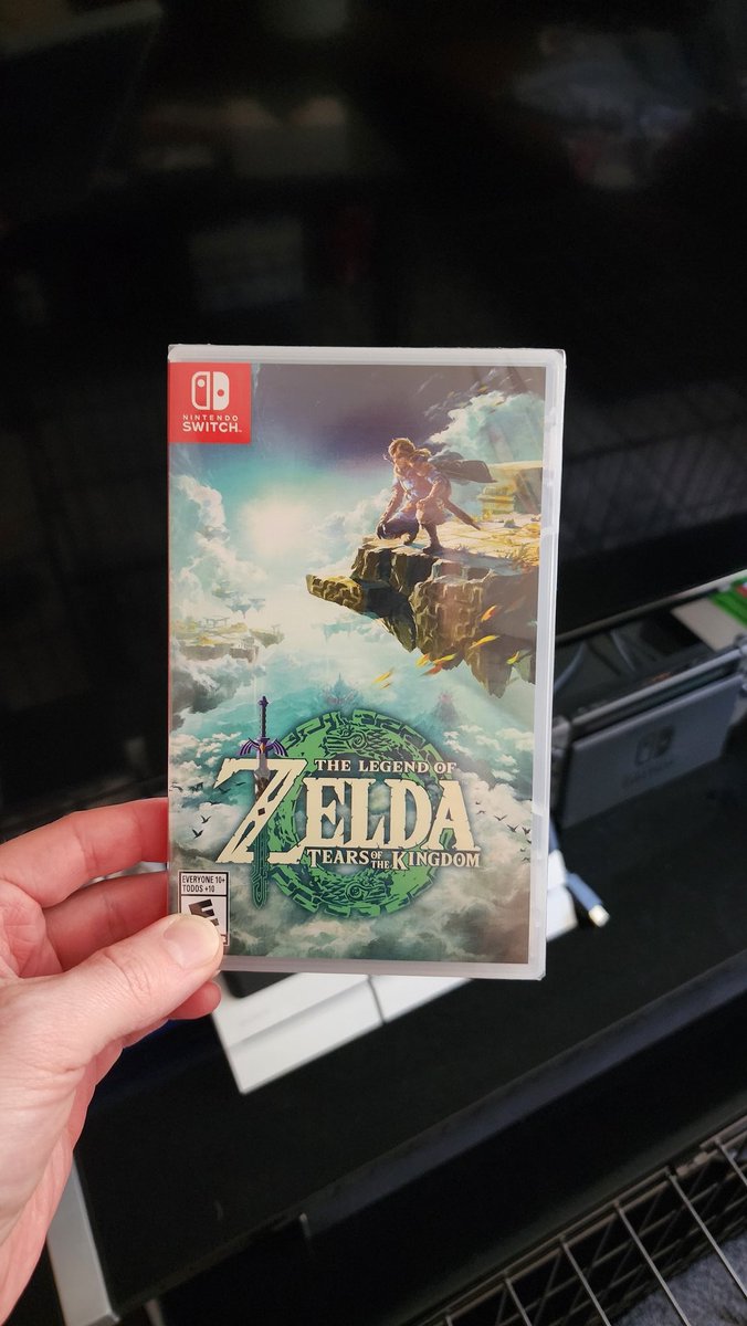 Well, my next few months are booked.

#ZeldaTOTK