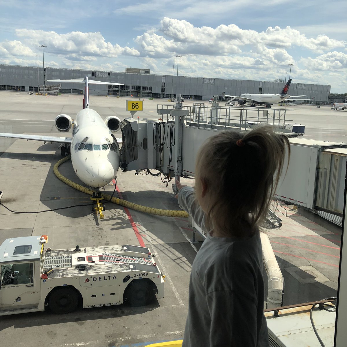 📺⚡️PHOSPHOR OPERATOR⚡️📺 tweet media