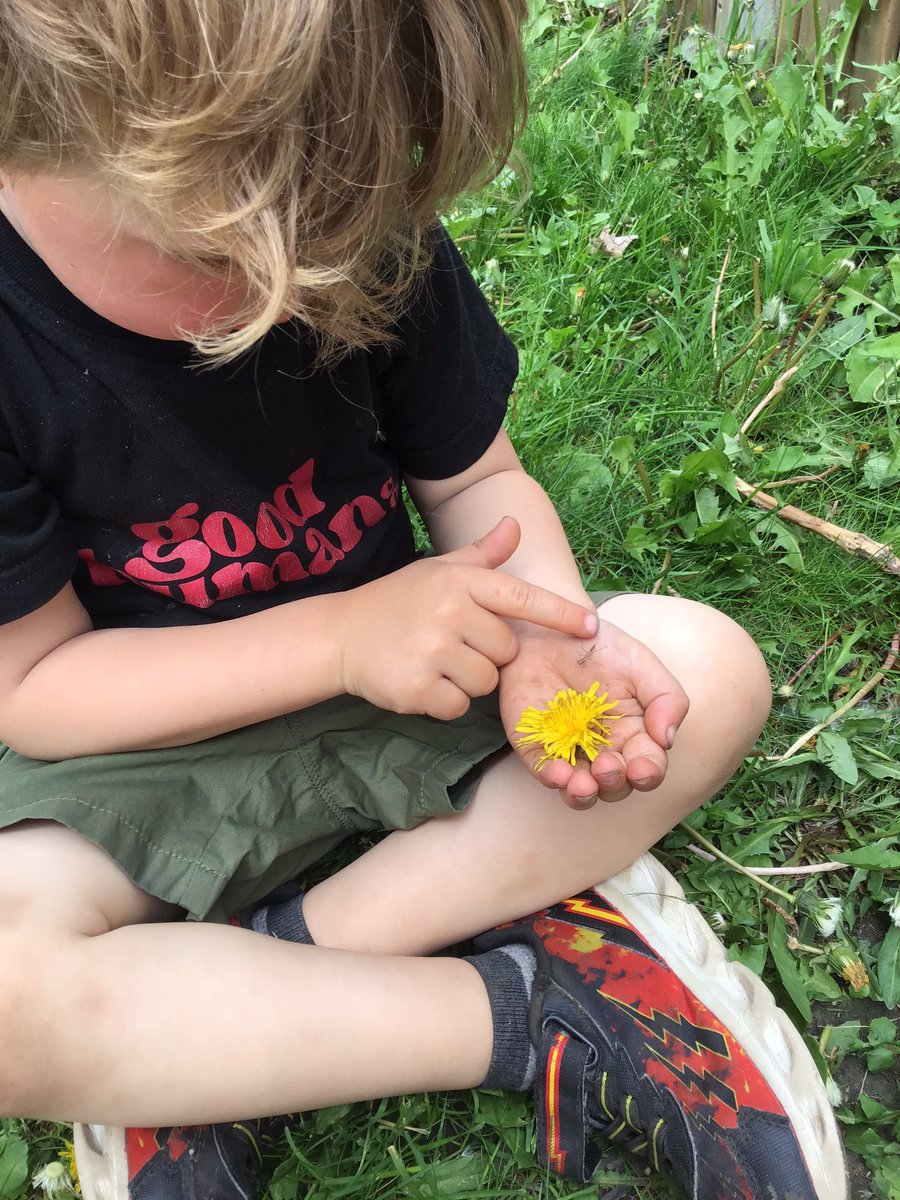 JBrentECE's tweet photo. Time for the baby praying mantis’ to make homes of their own.
A: He doesn’t want to leave me. Will he be okay?
E: I think he’s hungry. I’m gonna feed him before he goes.
Mrs. P: They came out through this hole, and now it’s time for them to have a natural habitat.
#4FrameBC https://t.co/QrlG7QXi0D