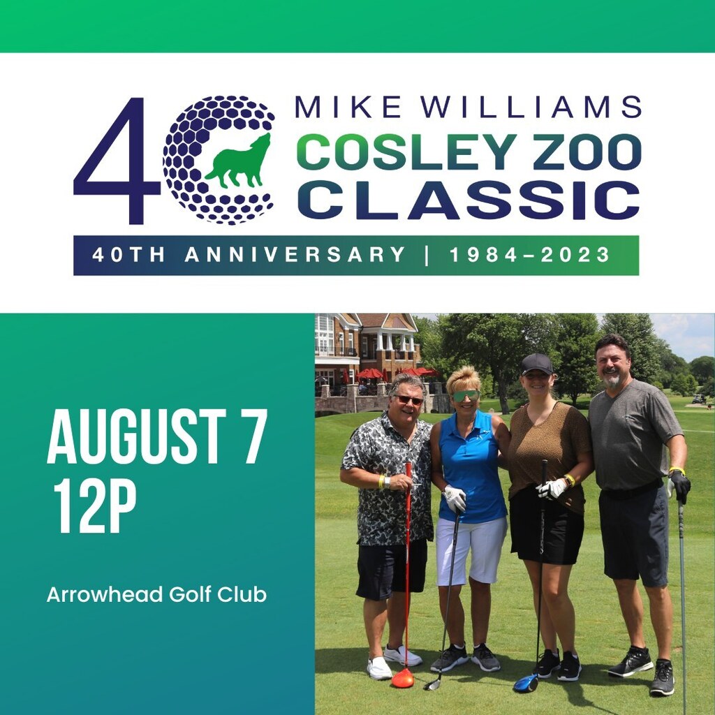 Wheaton Park District tweet media