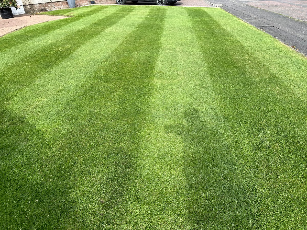 “I'm being followed by a lawn shadow. Lawn shadow, lawn shadow. Leaping and hopping on a lawn shadow. Lawn shadow, lawn shadow”.