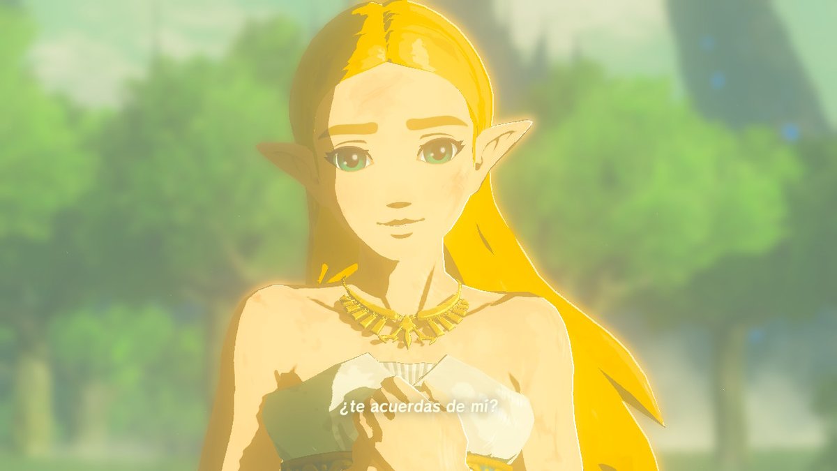 _Fran5_27's tweet photo. JUEGAZO #BreathoftheWild #NintendoSwitch https://t.co/q8AEL13MQK