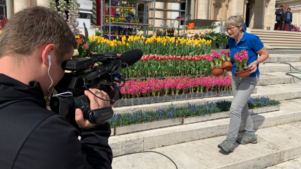 Serie "Bedankt voor de Bloemen" genomineerd voor Lokale Media Award 2023 -  hartvanlansingerland.nl/l/144846