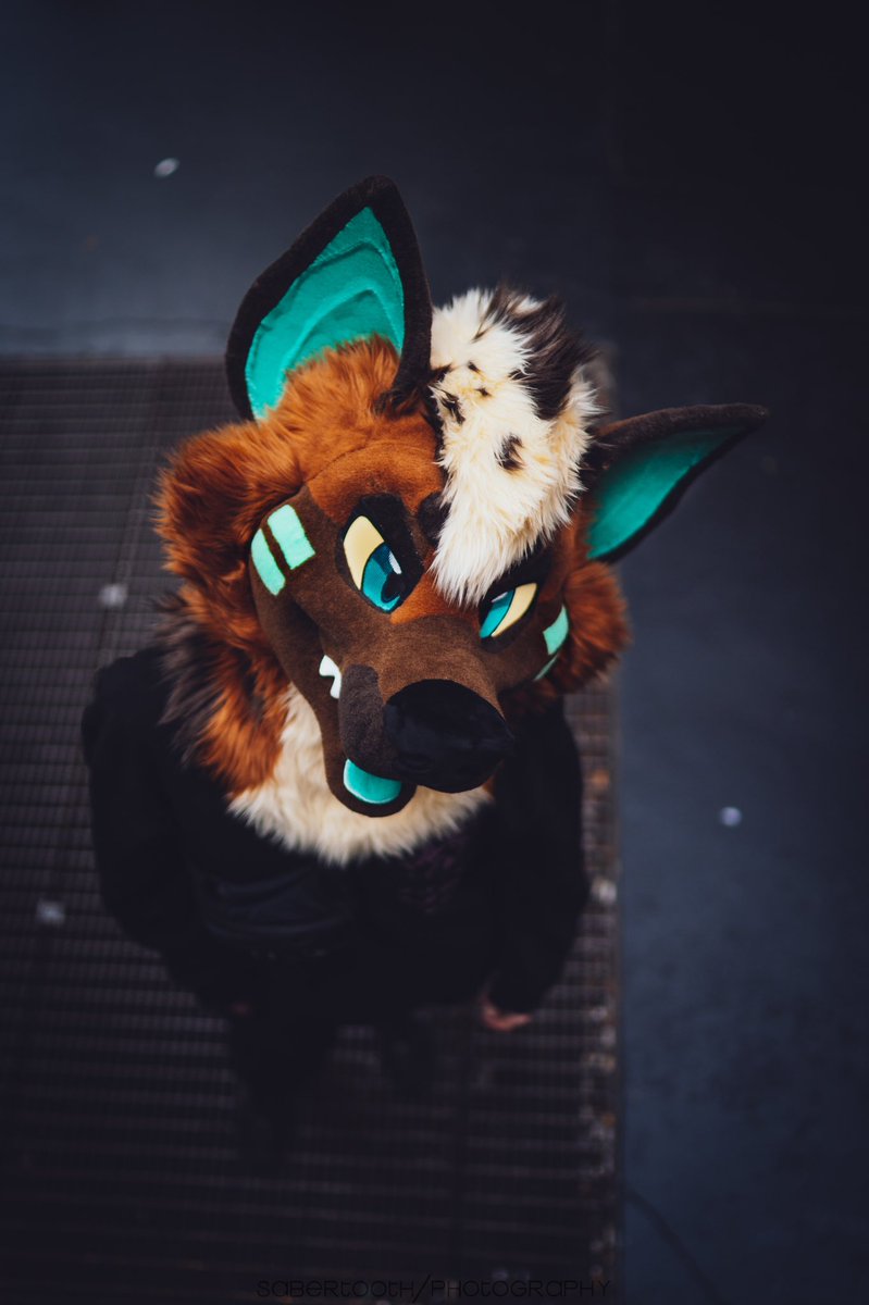 Rocket Pup Productions tweet media