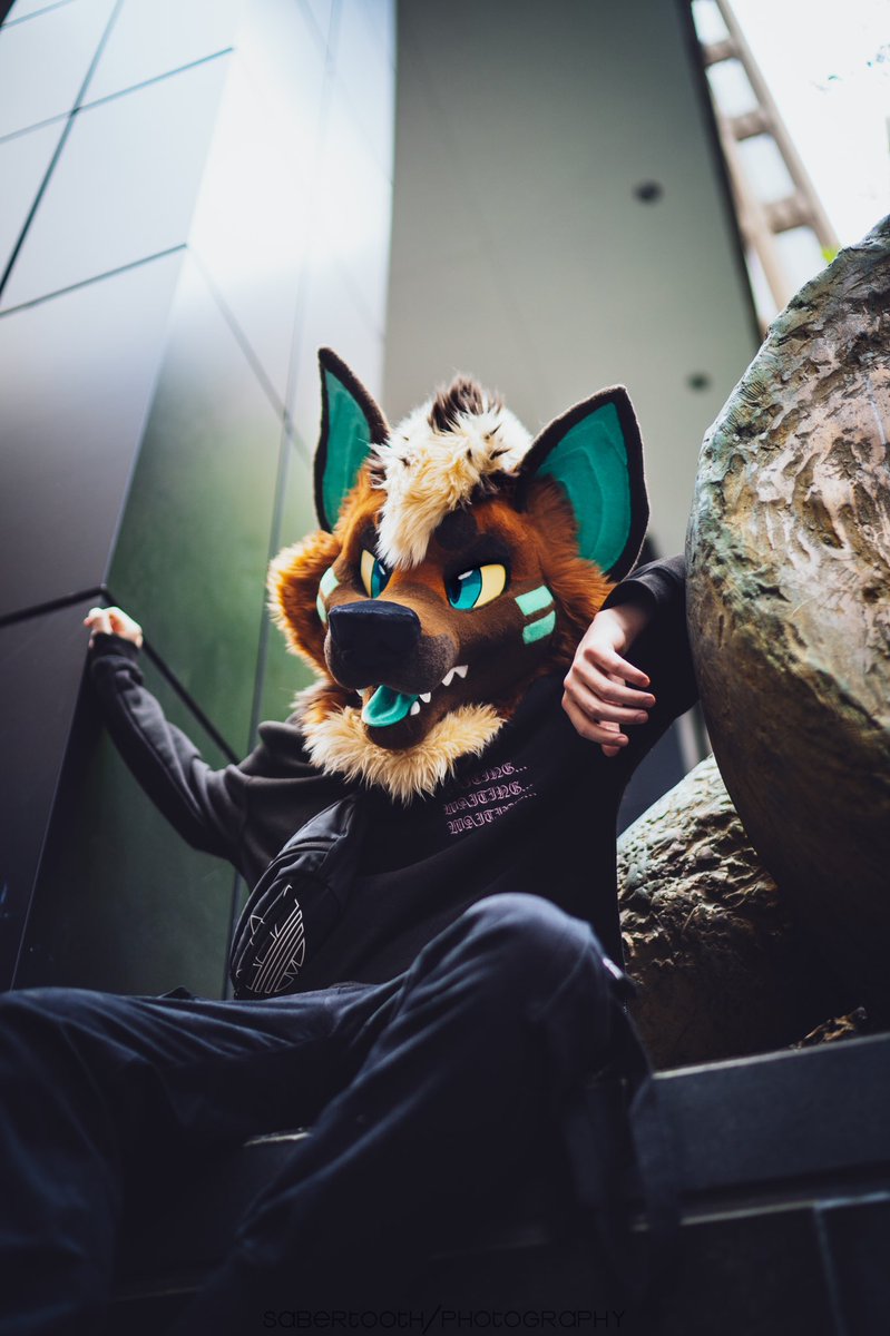 ARI IS HEEEERE
Couldn’t wait for the weekend to come, just super exited to show off this handsome yeen! 
You can catch him running around at FWA this weekend 👀👀
📸: <a href="/vsabertoothv/">BIG KING SABER</a>