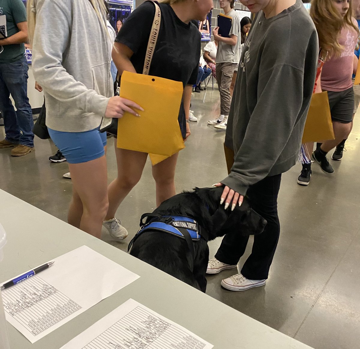 Bear@LHS tweet media