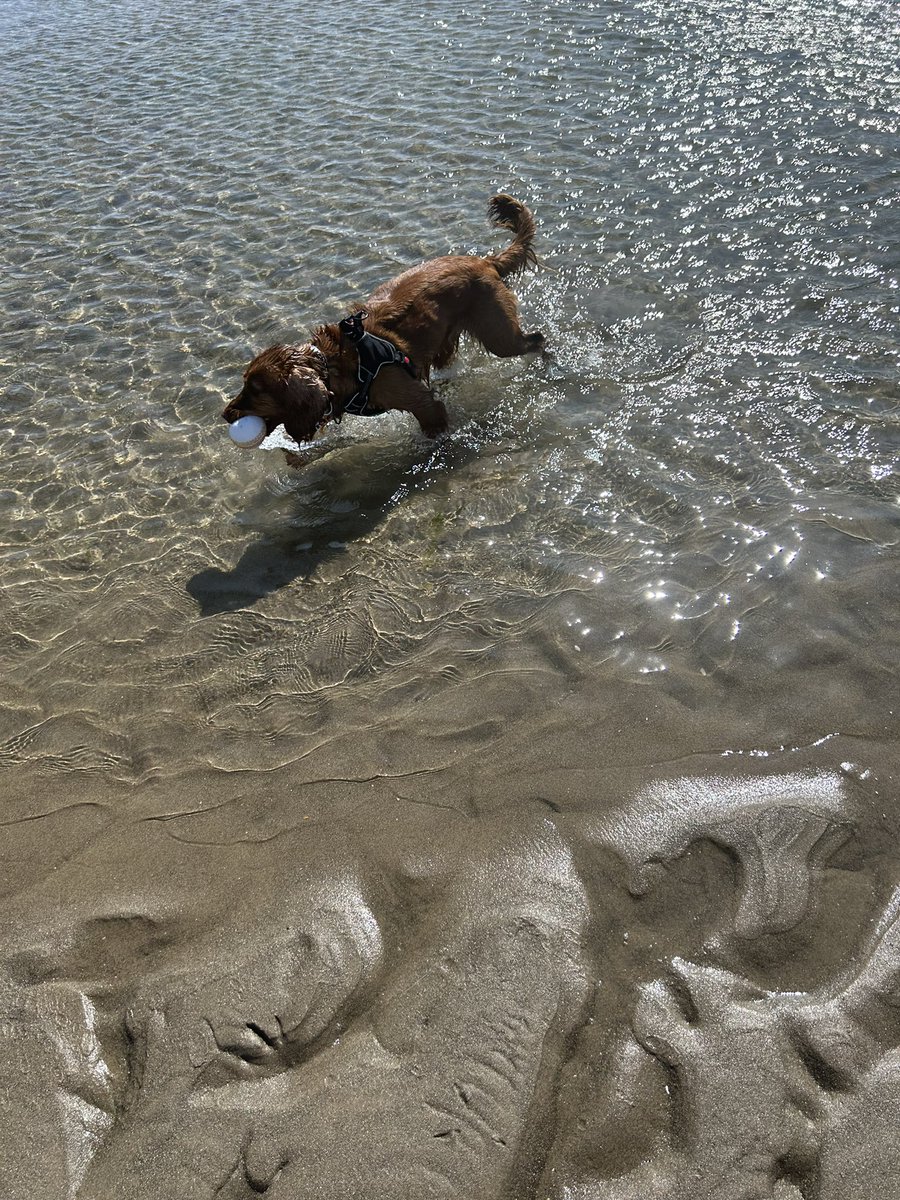 Sarah Raddon tweet media