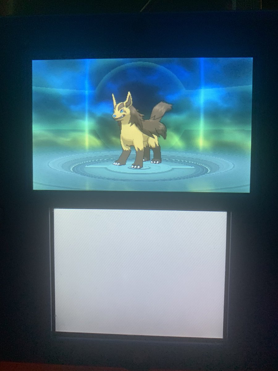 DazzlingTorchic's tweet photo. #PokemonOmegaRubyAlphaSapphire #ShinyPokemon phase 2 for Zigzagoon; Mightyena https://t.co/XmtDpxDIt6