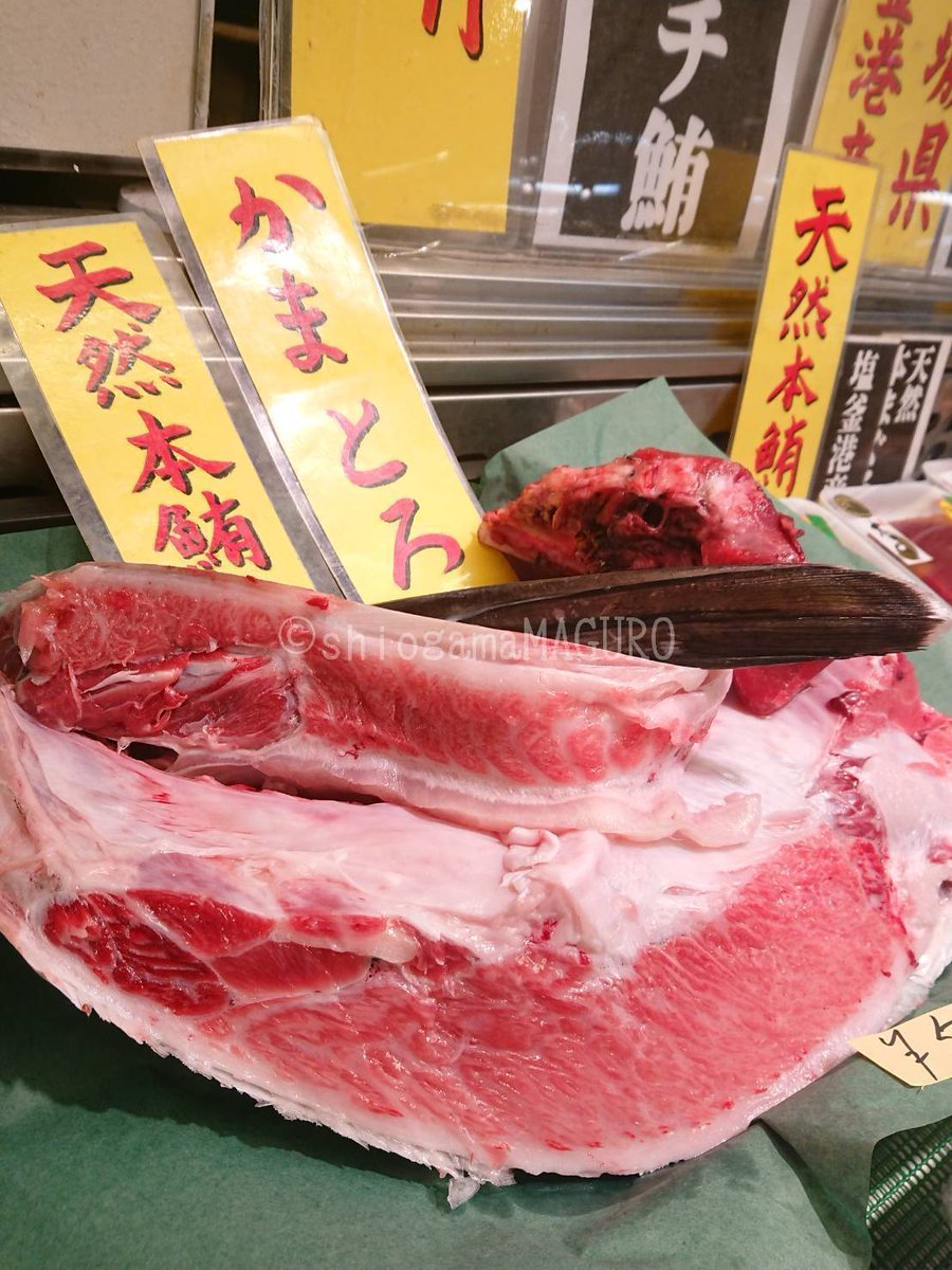 塩釜水産物仲卸市場・週末営業です。塩釜「天然本鮪／メバチマグロ」 入荷解体しています。(※写真は本マグロです) ぜひお立ち寄りください✨
 #宮城県  #塩竈市  #市場  #塩釜港