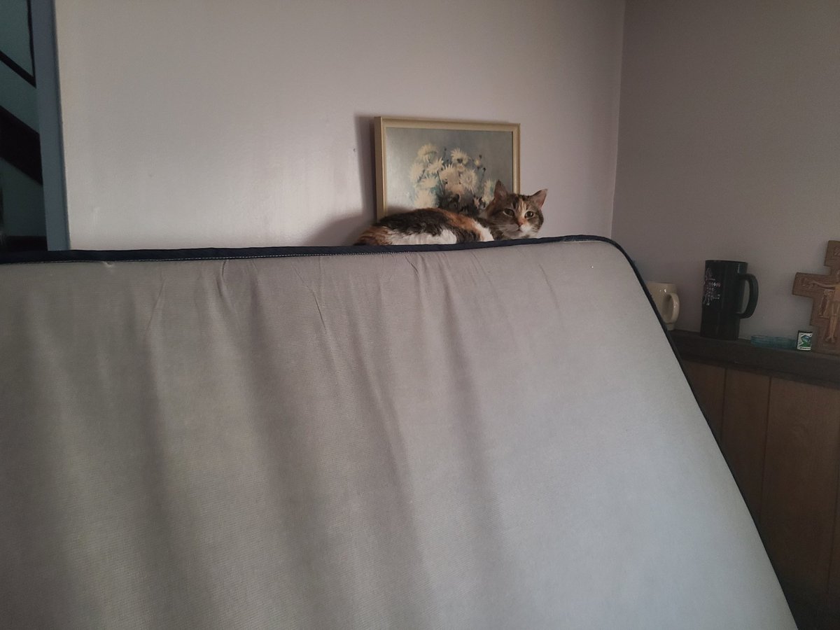 RoguesHouse's tweet photo. I'm on top of the world! https://t.co/4Olx3jI5eM