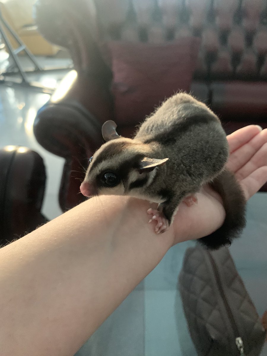 kin12ran's tweet photo. Smol baby https://t.co/jnZdElDqtu