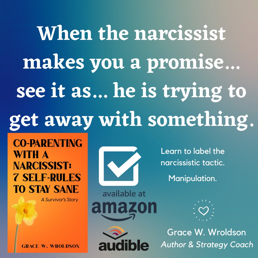 #coparenting #narcissist #npd #metoofamilycourt