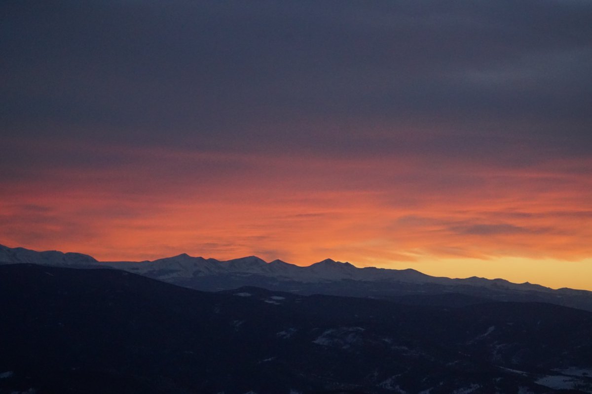 MUT Running tweet media