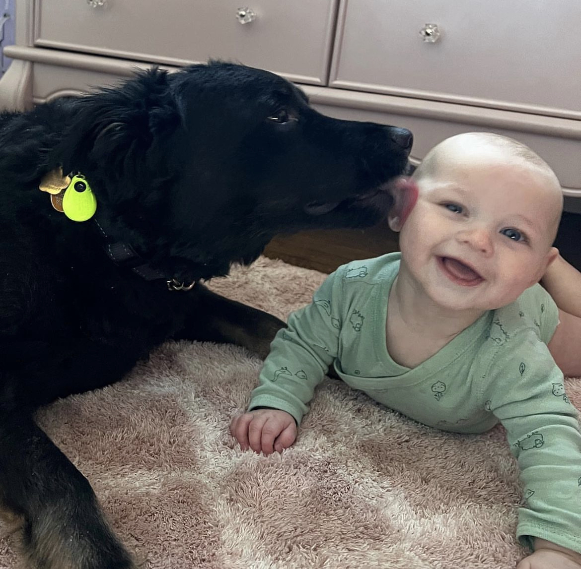 pureearthpets's tweet photo. Wishing a very Happy Mother's Day to all the #PEP mamas out there, taking care of their babies and furry kiddos! It's not easy, but we know how hard you work to balance it all. We're here to say A BIG thank you! 
#MothersDay #PureEarthPets https://t.co/lOB6zm76Rt