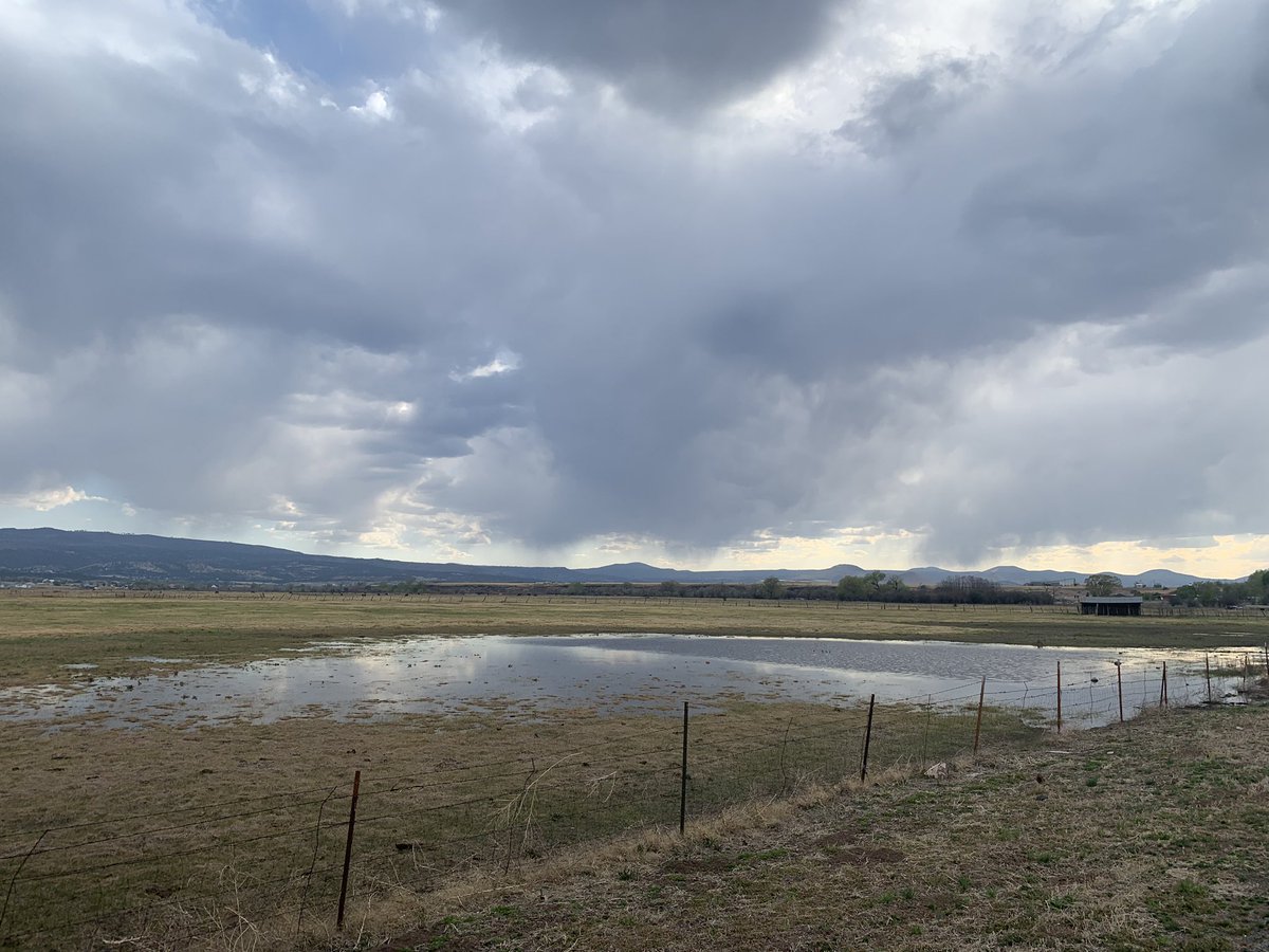 drsambalk's tweet photo. Some moisture starting to arrive in Arizona. Virga just outside of Springerville. #azwx https://t.co/6iAn1fCXQX