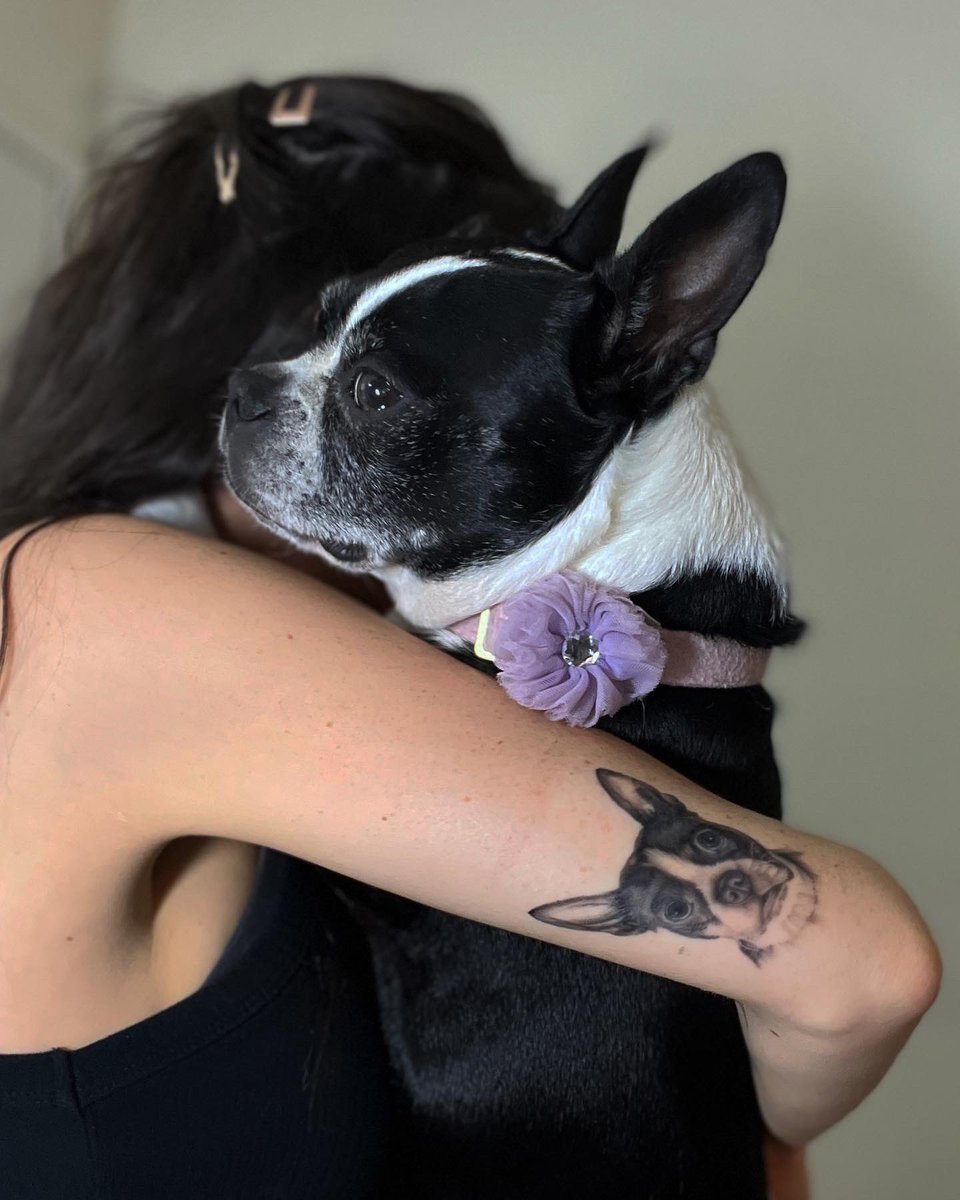 Amandamaeboo's tweet photo. For Daisy’s 9th birthday🌼🥹 https://t.co/hBwZjdBY8l