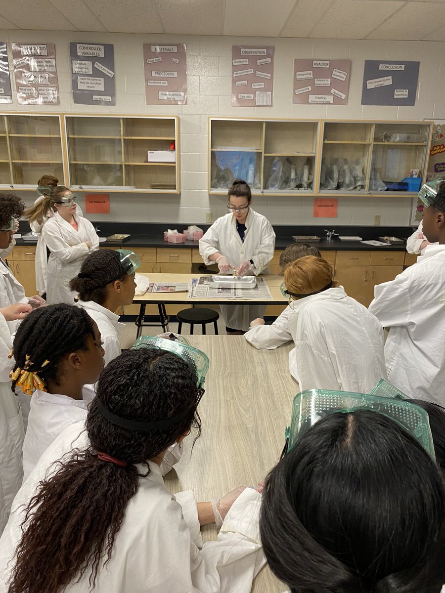 SVDP_CCSD's tweet photo. Grade 8 students busy today dissecting horse eyes. Eye didn’t see that coming.  O that joke is so cornea! https://t.co/IFsHwhZ7U0