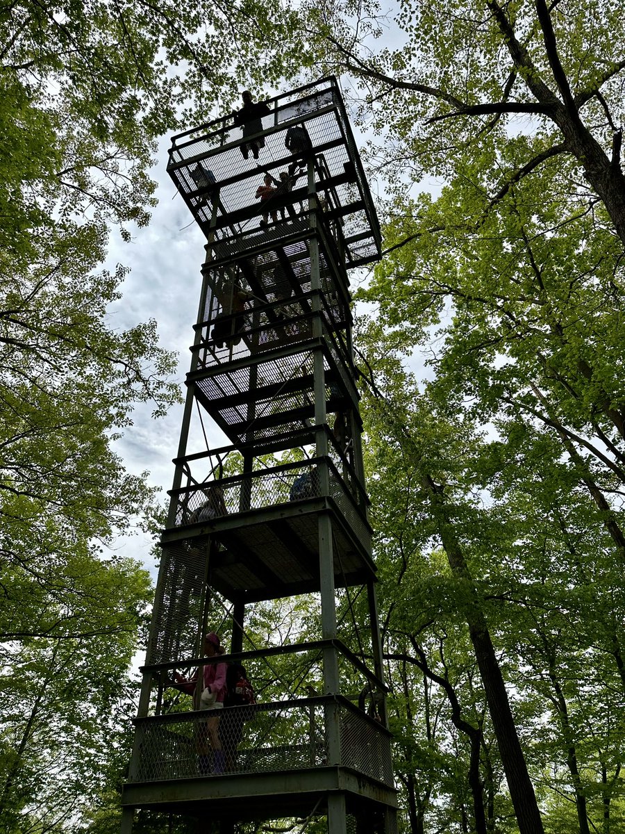 Julie Thorp tweet media