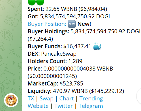 DogeInu (DOGI) BSC tweet media