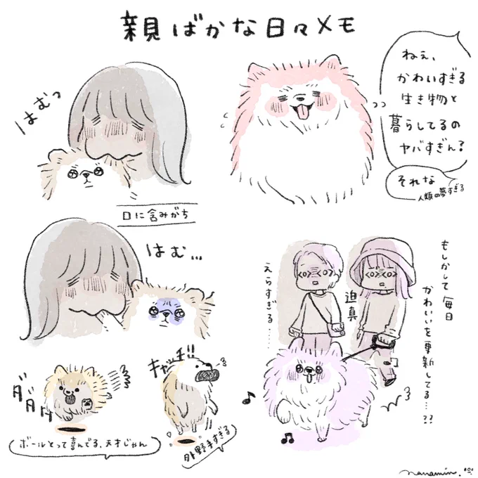 わたしの親ばかな日々をメモしてみました  #愛犬の日