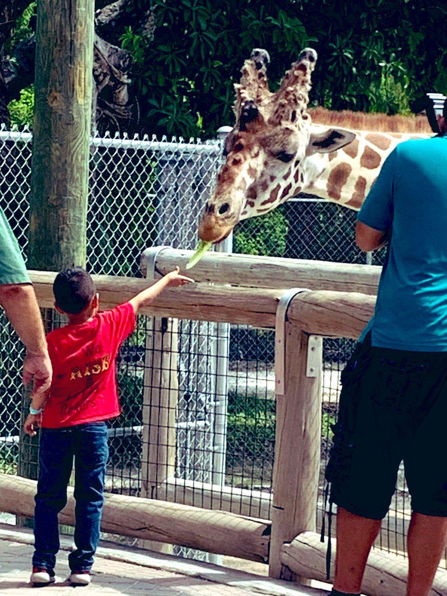 Such a fun Friday at the Naples Zoo! 🥰🐒🚌
<a href="/PoincianaCCPS/">Poinciana Elementary</a> 
<a href="/CCPS_PRE_K/">Collier County Public Schools PRE-K Programs</a>
