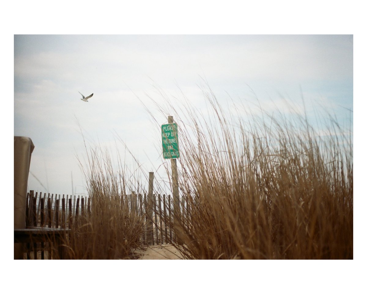 titaniumvisuals's tweet image. the beach
(canon ae 1 + portra 400)