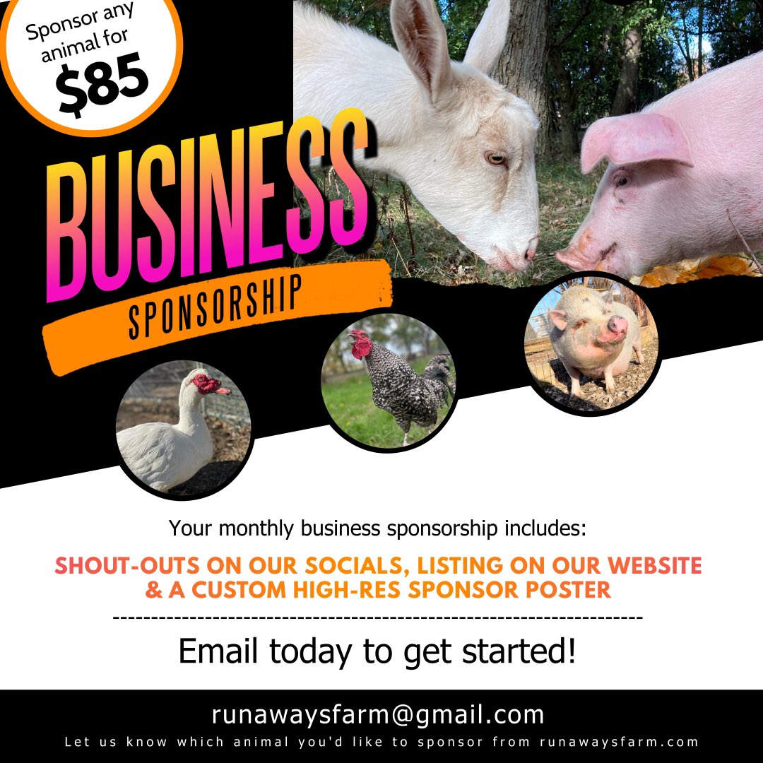 We are blessed to have the support of several businesses in our little community. Just helping us save lives…no bigs.