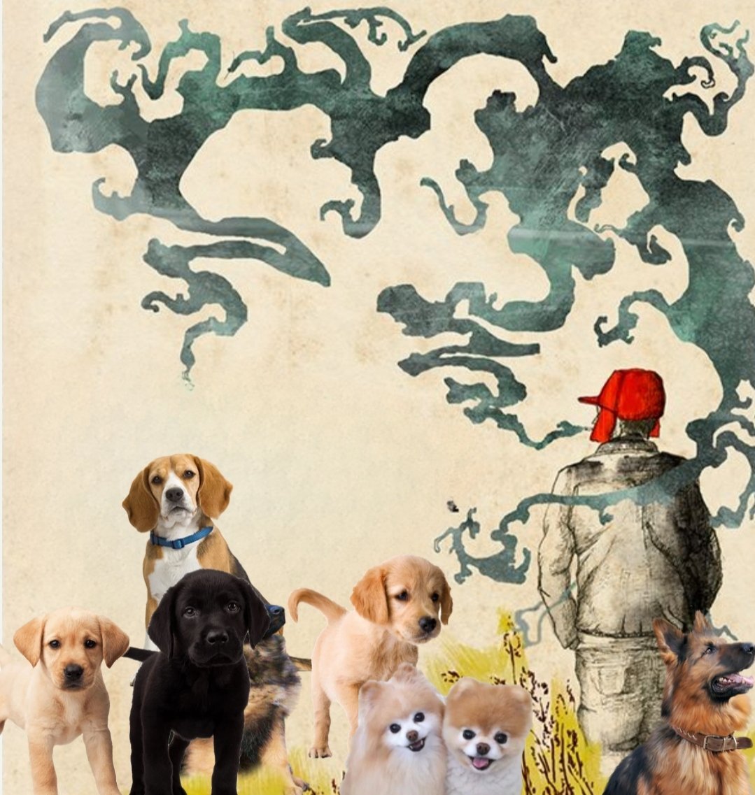 smc429's tweet photo. #AnimalsInBooks
Dog Catcher In The Rye https://t.co/ytm05Ugxu4