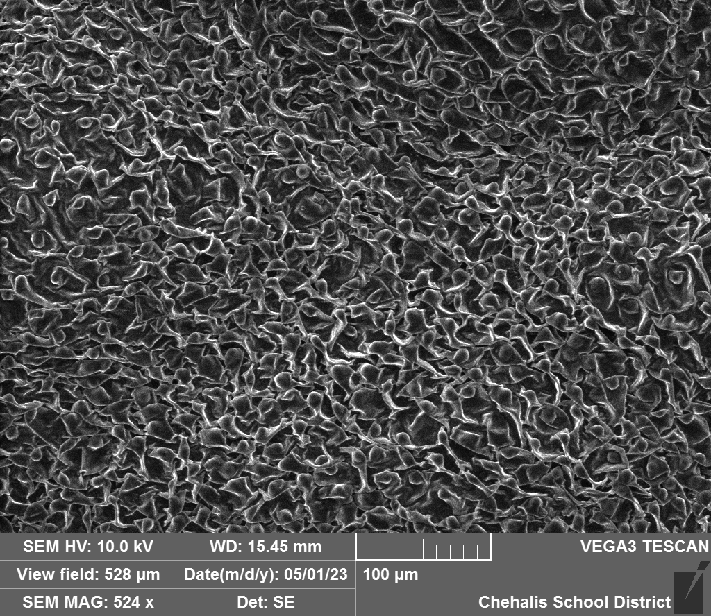 wfw_sem's tweet photo. Braden Jones- White Vinca Flower Pedal #organicproject https://t.co/42ghpcdTFJ