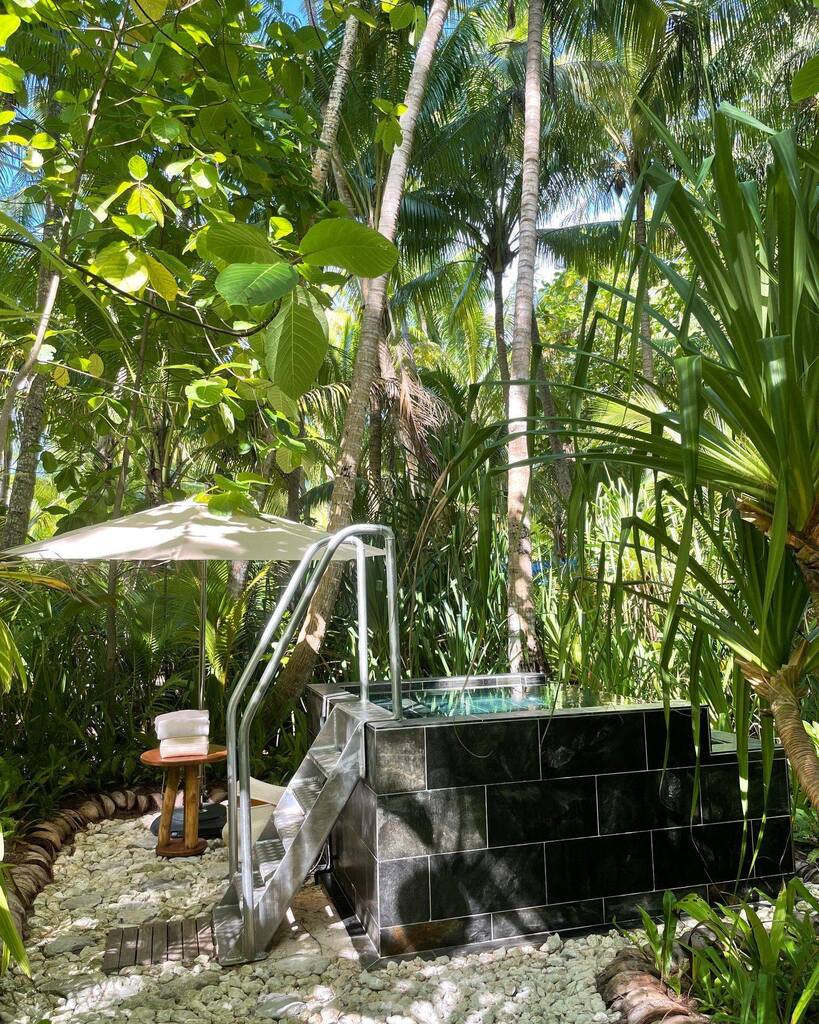 Pacific Beachcomber tweet media