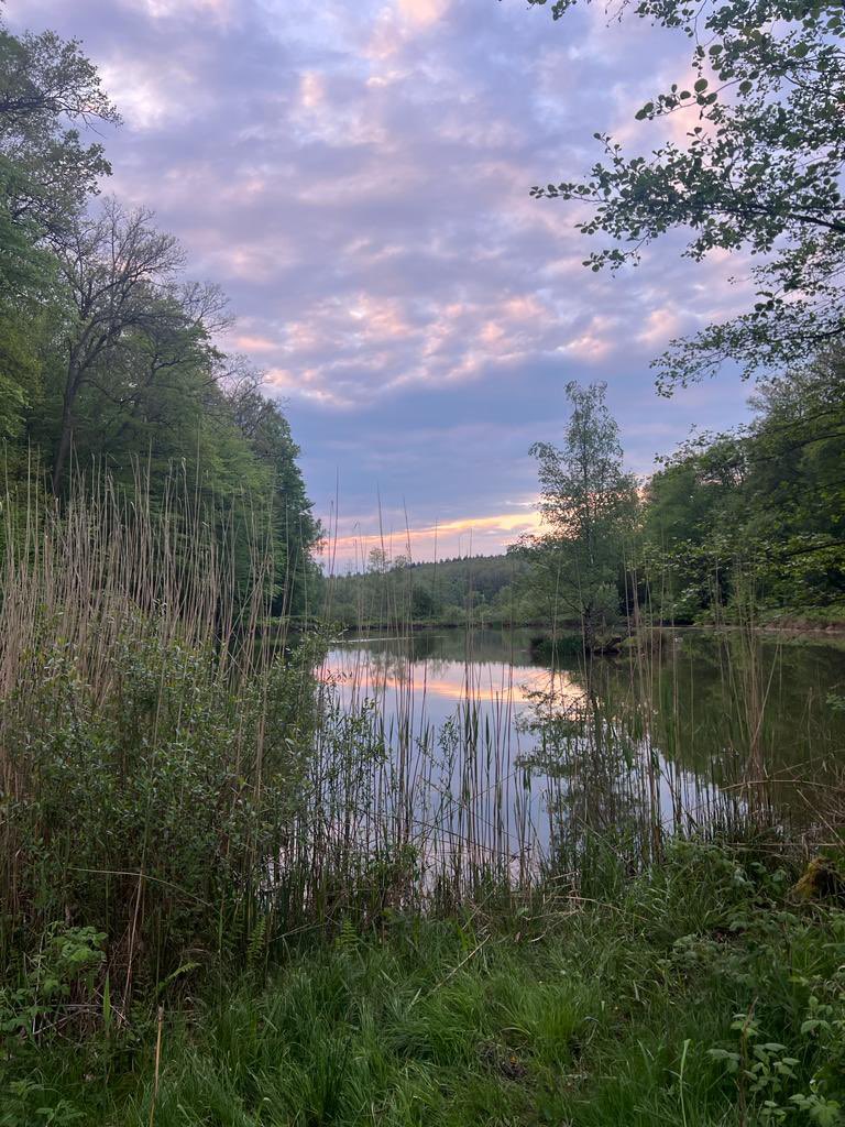 Lu16TV's tweet photo. Sind so an nen schönen See gegangen 
Das girl tut mir kinda leid das sie abgesagt hat weil: https://t.co/gCsd01Uass