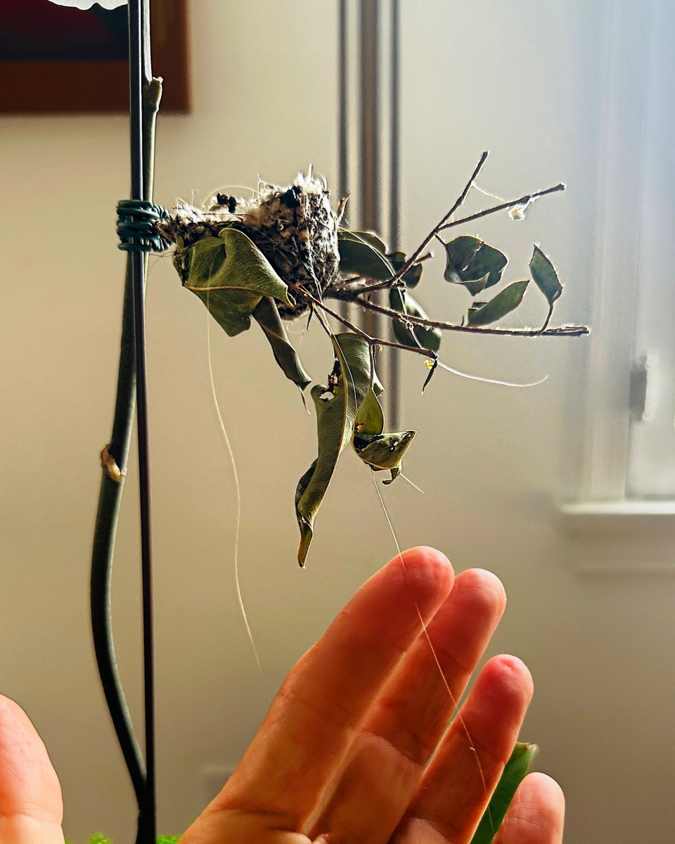ADrealestate2's tweet photo. Discovering the Delicate Threads that Bind Us All - https://t.co/SftP69PUJ4 https://t.co/pllaoZ5e4p