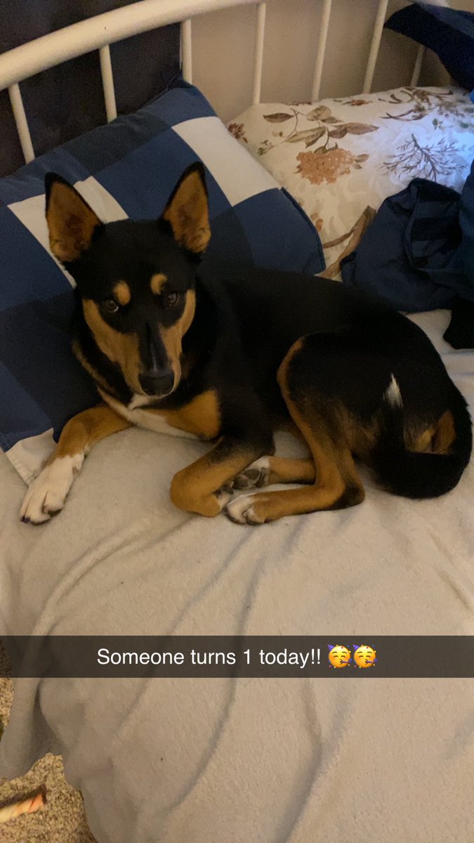 RageYoder's tweet image. Happy Birthday big girl!! 🥳🥳🥳🥳