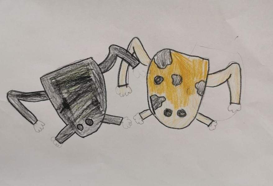 Estudiantes de 5to grado de primaria en un colegio de #Paraguay me mandaron una carta con muchas preguntas sobre anfibios y dibujos de las Ranas Acúaticas de Sehuencas. 
Para mí son la mejor muestra de arte e interés en la conservación!
#amphibianartsandculture
#amphibianweek