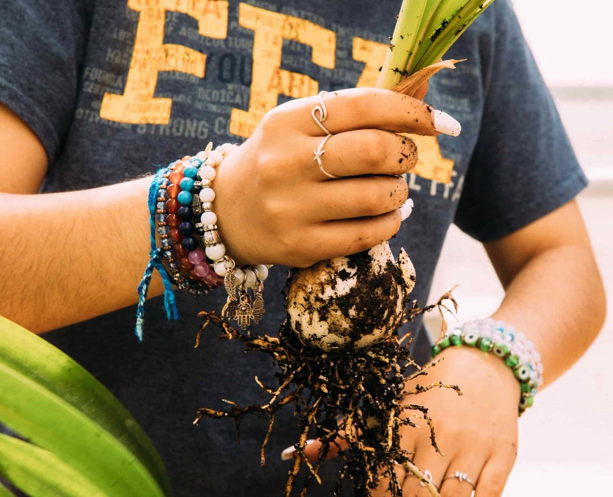 NationalFFA's tweet image. Taking care of yourself includes taking care of your mental health.
Let's spread the word about mental health first aid and support each other in our journeys toward well-being!
Learn about available resources at the link below.
ffa.org/the-feed/how-t…
#NationalFFA #MentalHealth